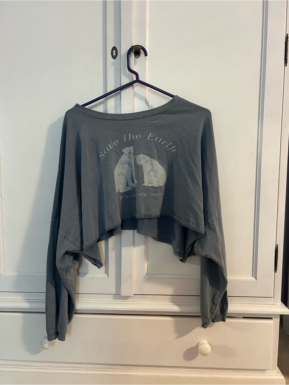 American Eagle Outfitters Cropped Graphic Sweatshirt - Gray